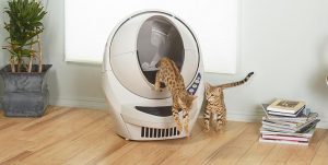 best self cleaning litter box