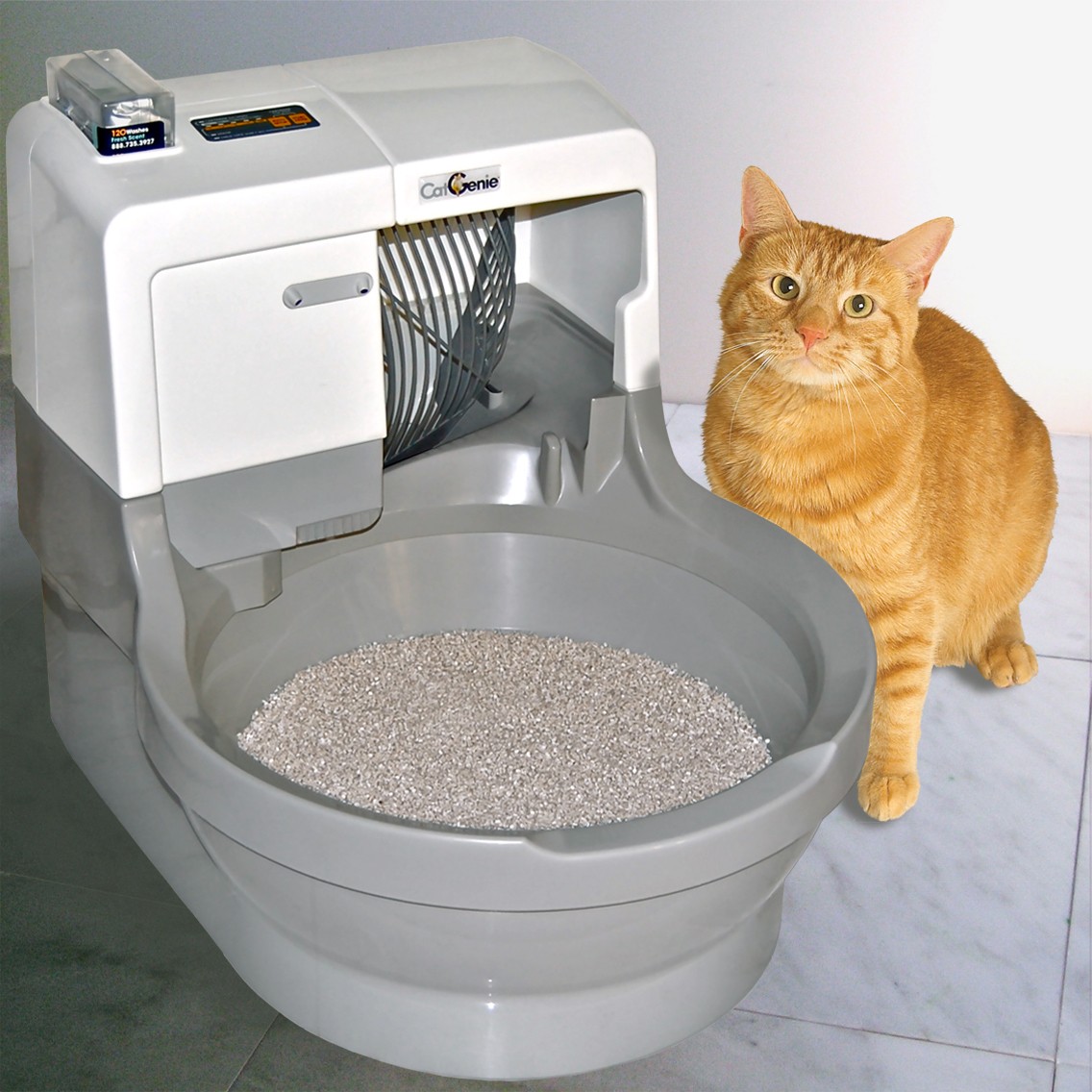 Best Self Cleaning Litter Box A Comparison Cat Concerns