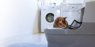 catgenie