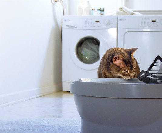 catgenie