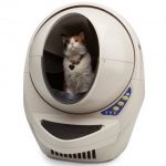 litter-robot-open-air-with-cat