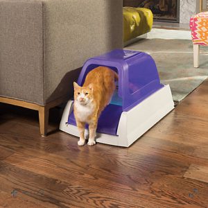 self cleaning litter box