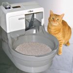 self-cleaning-flush-litterbox-1024×996