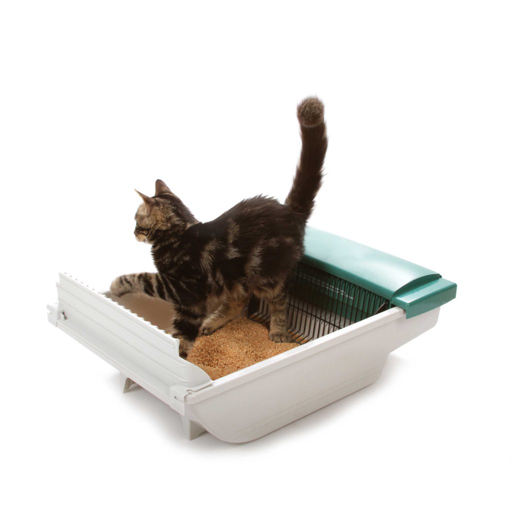 Pet Zone Smart Scoop Automatic Litter Tray Reviewed Cat Concerns