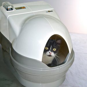 best automatic litter box for large cats