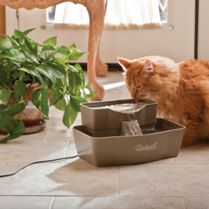 best cat fountain