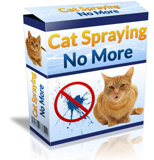 cat spraying no more