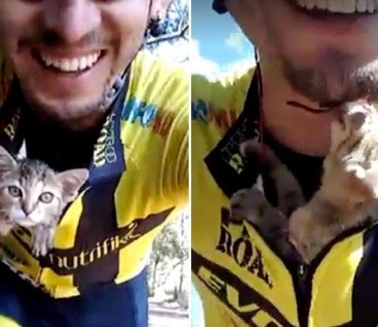 Kitten Loves Cyclist Who Saved Him